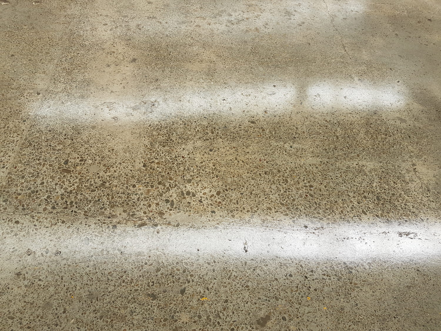wellington polished concrete floor